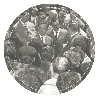 1934.gif