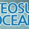 Yeosu Ocean Co Ltd Korea