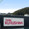 SHIN KURUSHIMA TOKUSHIMA DOCKYARD CO LTD